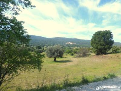 Miradores del Embalse de San Juan_Cerro San Esteban; foros de senderismo comarca de la siberia grupo